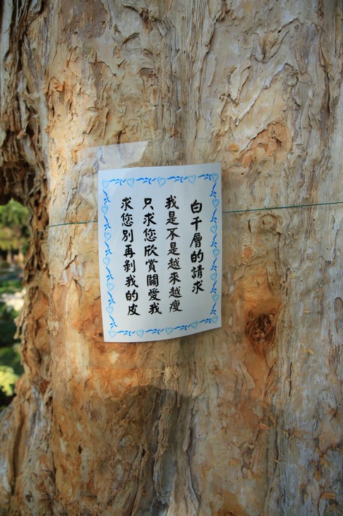此树帖的一条启事，内容是为了保护树皮。