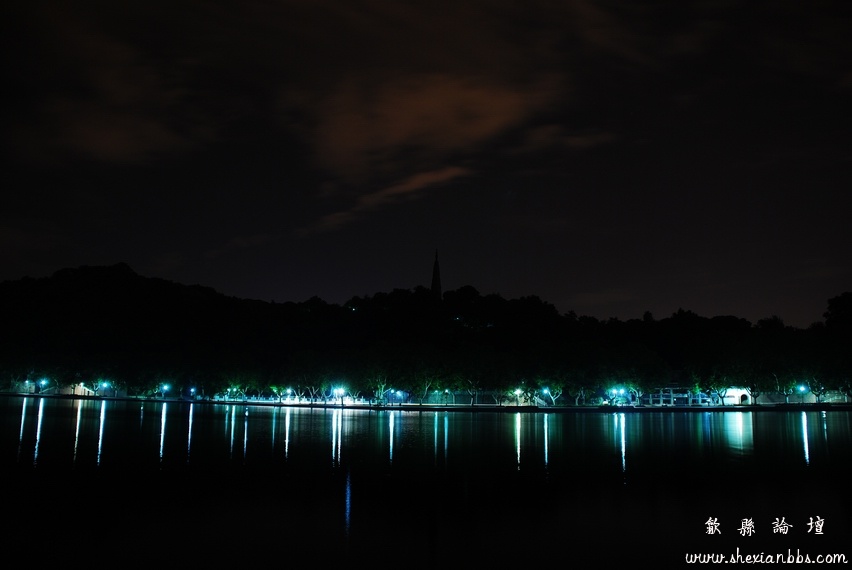 西湖夜荷 095.jpg