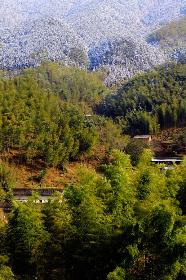 雪后营川2.jpg