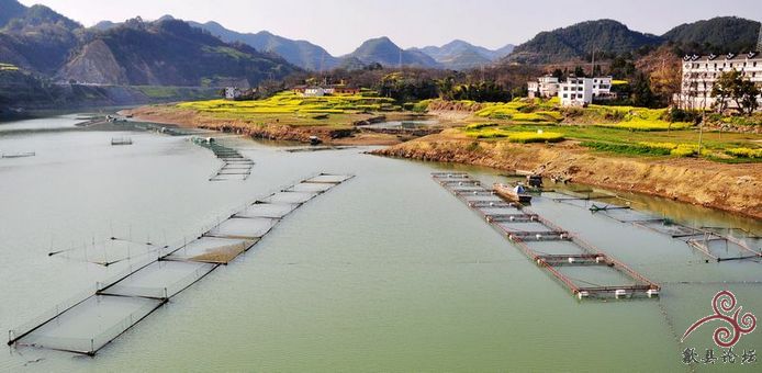 黄山风景 2738.jpg