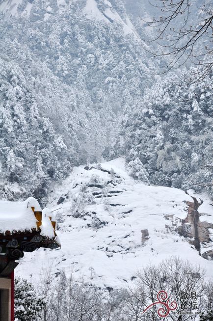 黄山风景 341.jpg