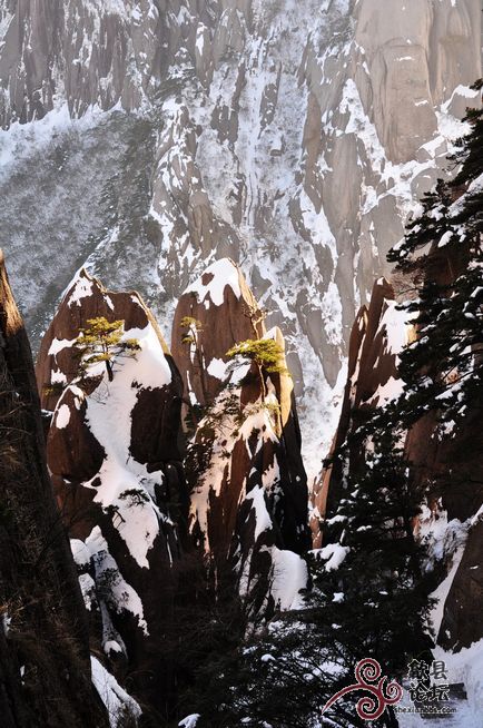 黄山风景 620.jpg