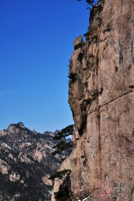 黄山风景 949.jpg