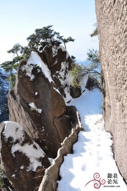 黄山风景 1021.jpg