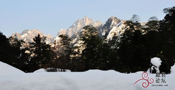 黄山风景 1397.jpg