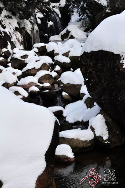 黄山风景 1402.jpg