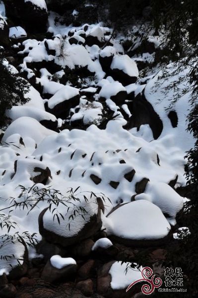 黄山风景 1411.jpg