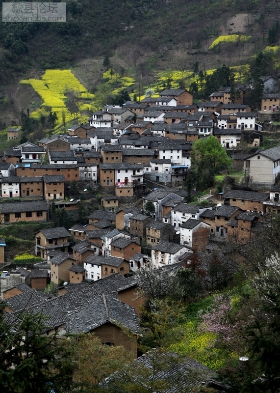 5、皖南山区歙县深渡镇阳产村“土楼村”。 (4).jpg