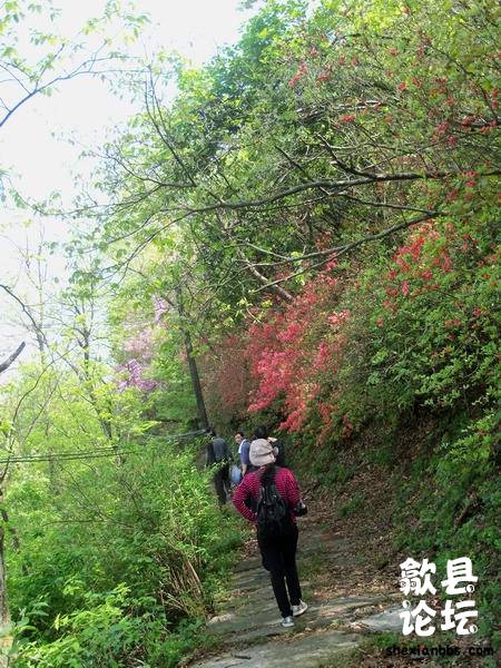 2012年4月22日走大洪岭古道景区摄影 132.jpg