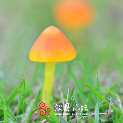 XG1_4735_副本.jpg