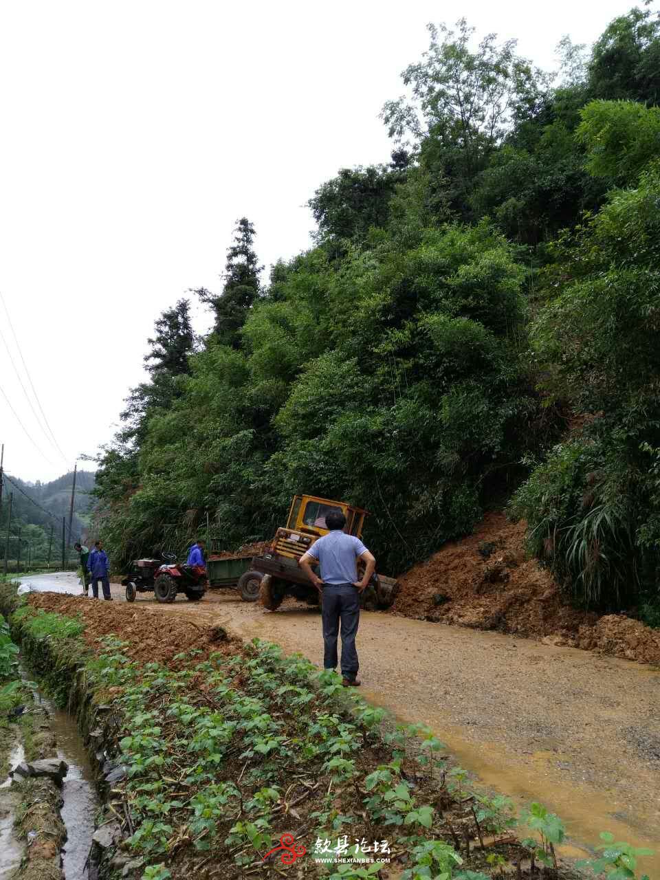 雄村镇朱村至鲍庄村道路抢