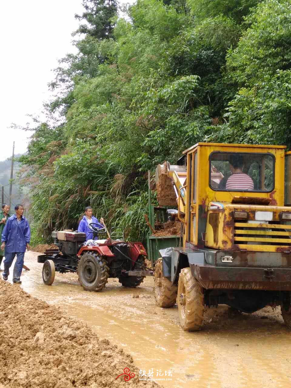 雄村镇朱村至鲍庄村道路抢