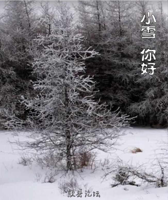 小雪.jpg