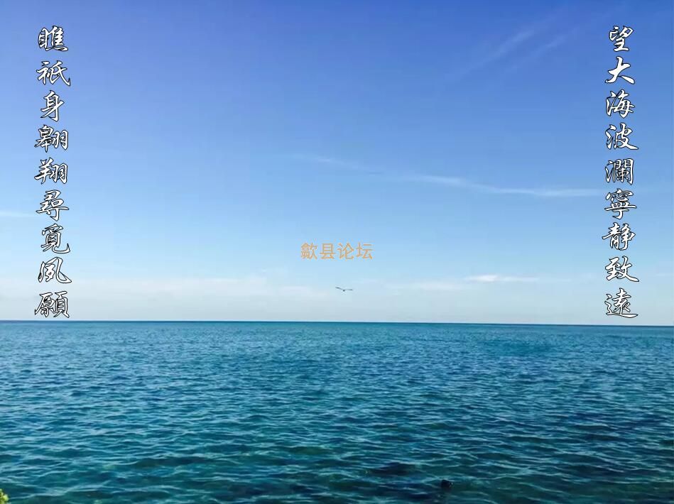 大海.jpg