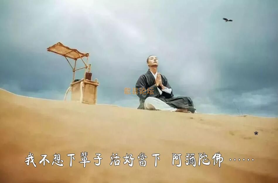 不想.jpg