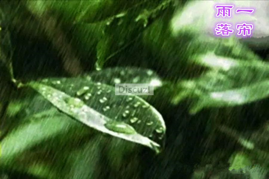 一帘雨落.jpg