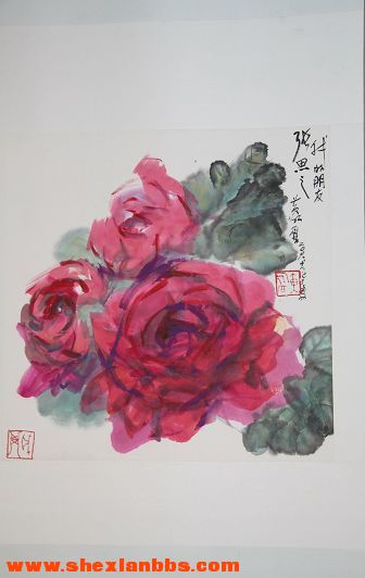 照片 1653.jpg