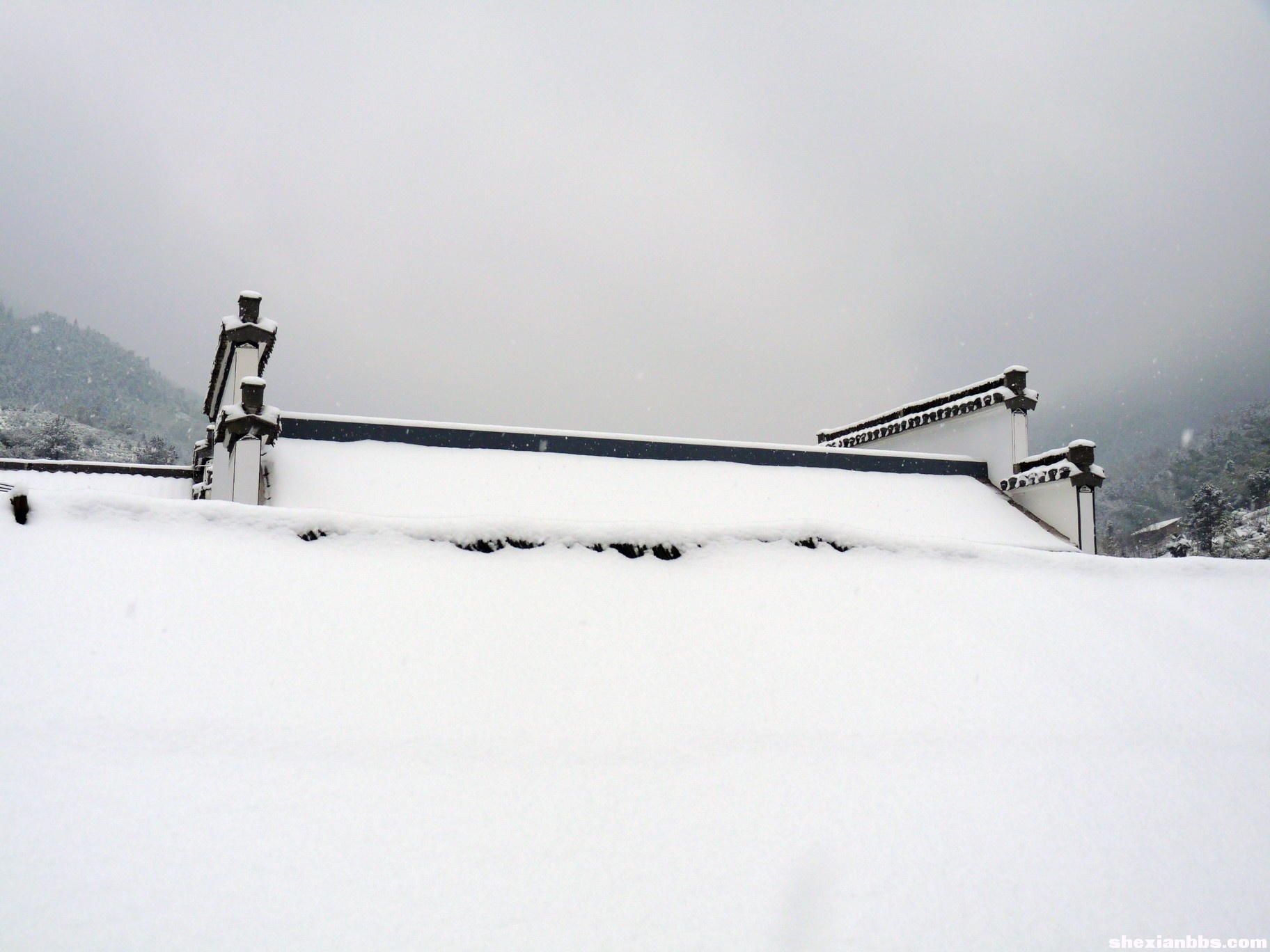 2010年大雪 143.jpg